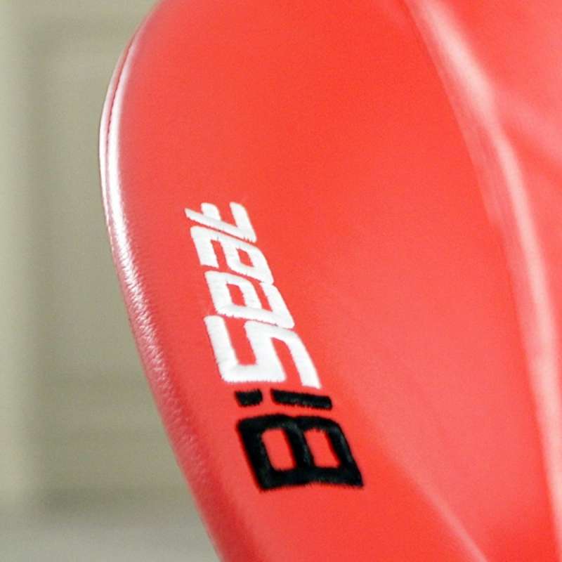 BISEAT STOLICA
