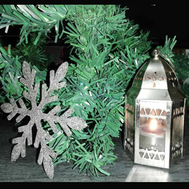 UKRAS PAHULJICA SNOWFLAKE S/6
